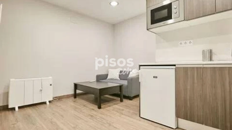 Piso en alquiler en Embajadores-Lavapiés