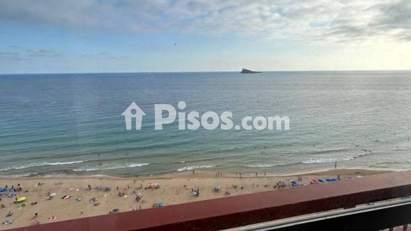 Pis – Benidorm