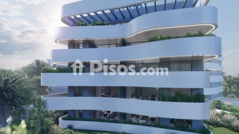Pis – Guardamar del Segura, Urbanització El Ras