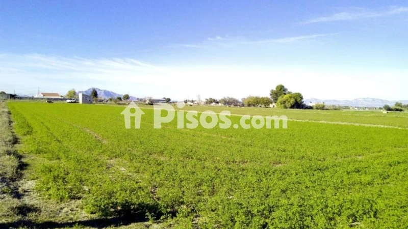Terreno en venta en Dolores