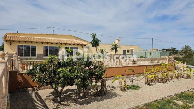 Piso – Elx / Elche, el Baix Vinalopó