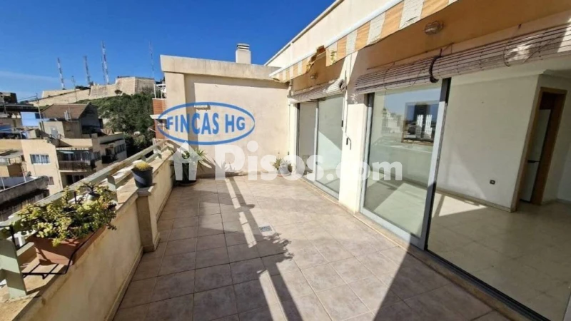 Pis – Alacant / Alicante, Campoamor, l'Alacantí