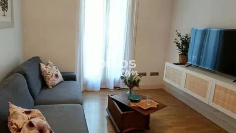 Piso en alquiler en Embajadores-Lavapiés