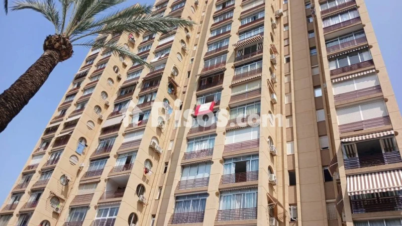 Pis – Benidorm