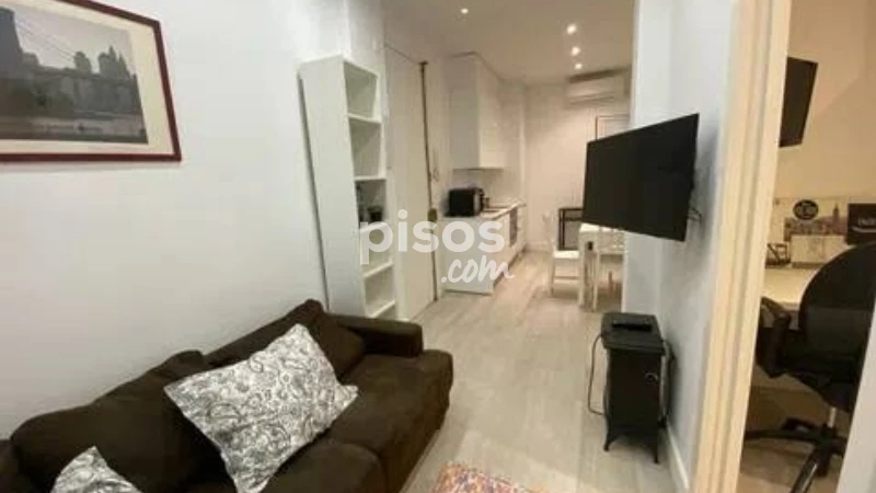 Piso en alquiler en Embajadores-Lavapiés