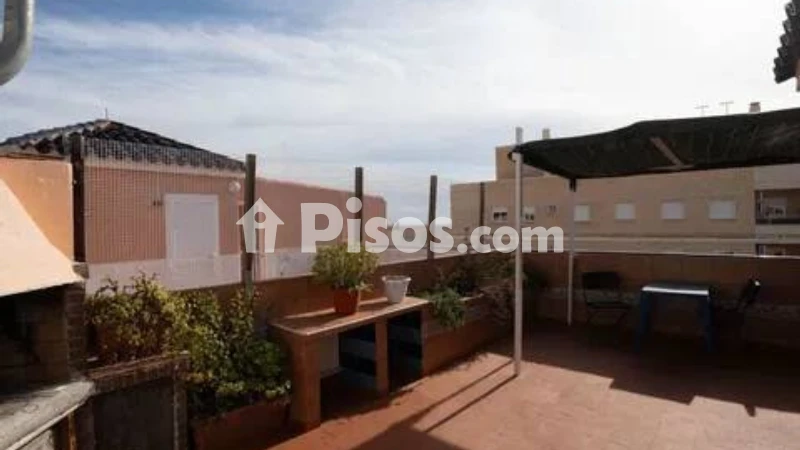 Pis – Torrevieja