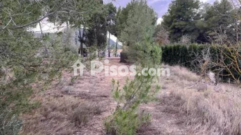 Terreno en venta en Biar