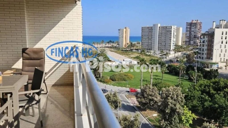 Pis – Alicante - Alacant