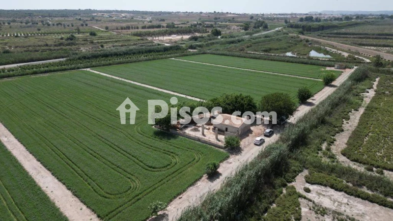 Pis – Elche, la Marina