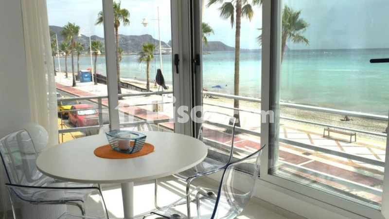 Pis – Altea