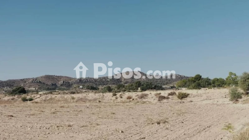 Terreno en venta en Novelda