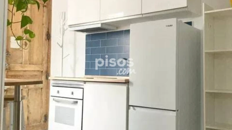 Piso en alquiler en Embajadores-Lavapiés
