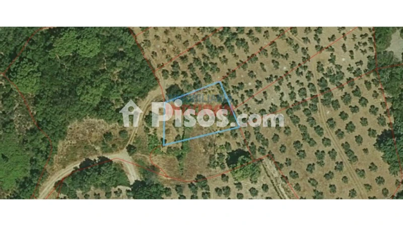 Finca rústica en venta en Castañar de Ibor - Vista 3