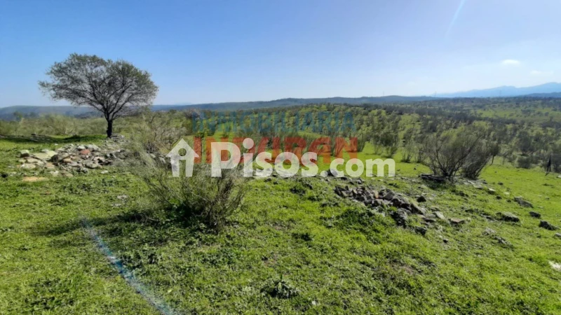 Finca rústica en venta en Valdelacasa de Tajo - Vista 3