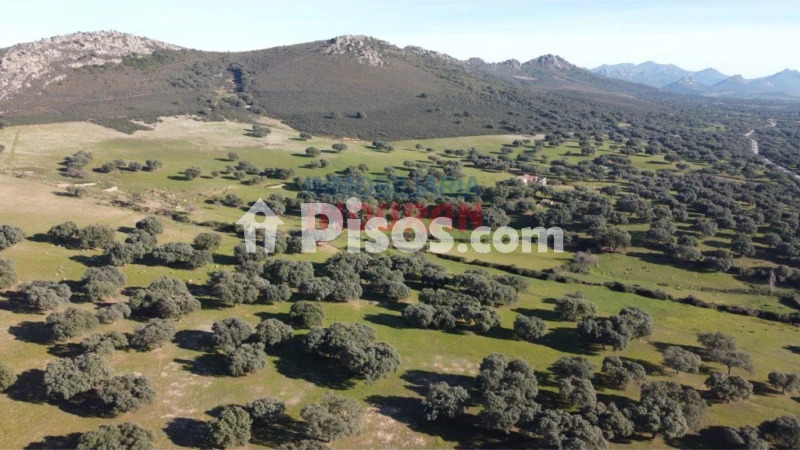 Finca rústica en venta en Deleitosa - Vista 3