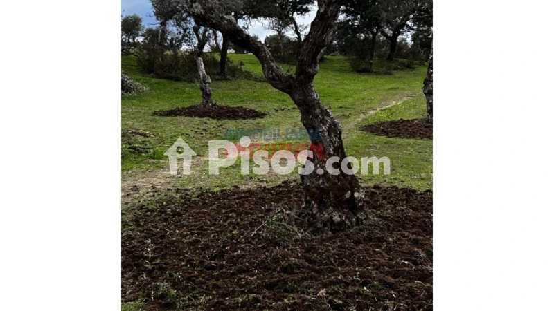 Finca rústica en venta en Valdehúncar - Vista 3