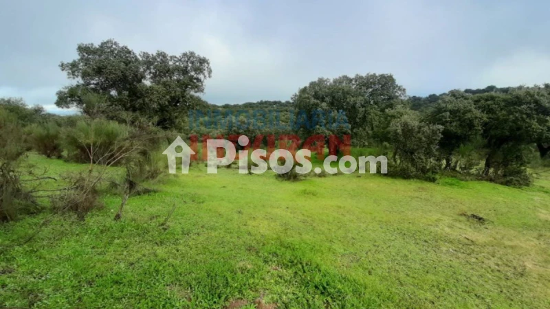 Finca rústica en venta en Millanes - Vista 3