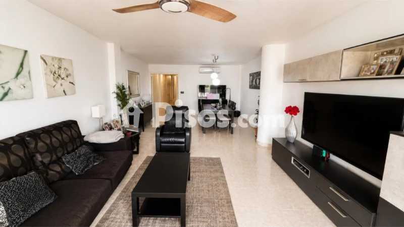 Pis – Altea