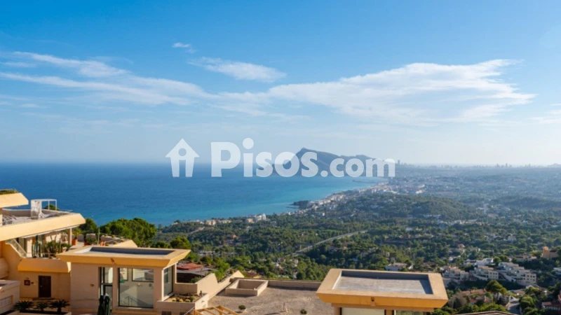 Pis – Altea