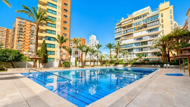 Pis – Benidorm