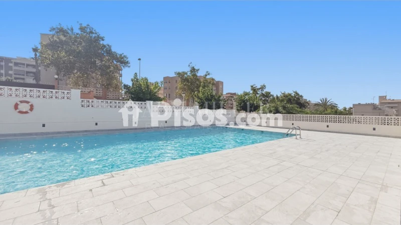 Pis – Elx - Elche