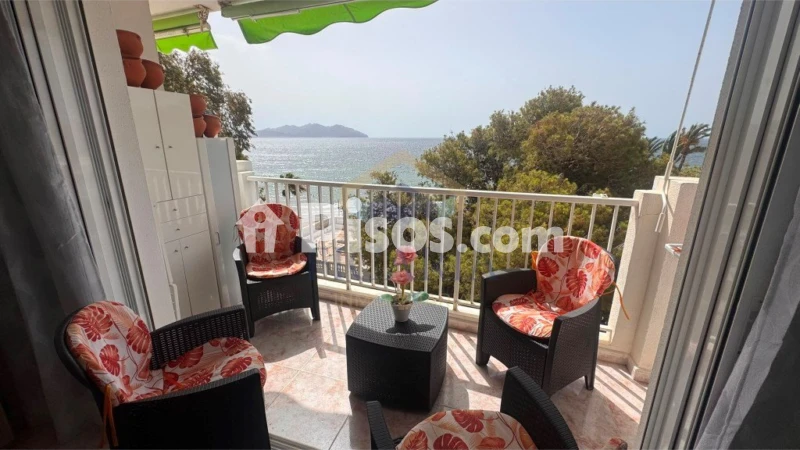 Fotografía del inmueble reportado: 800 €/mes — Murcia, Murcia