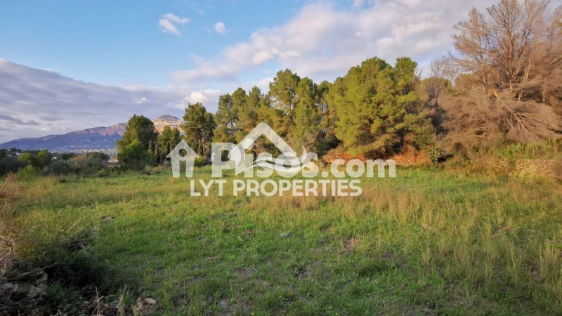 Terreno en venta en los Cerezos-La Mandarina-La Finca-Covatelles