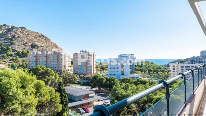 Pis – Alicante - Alacant
