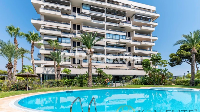 Pis – Alicante - Alacant