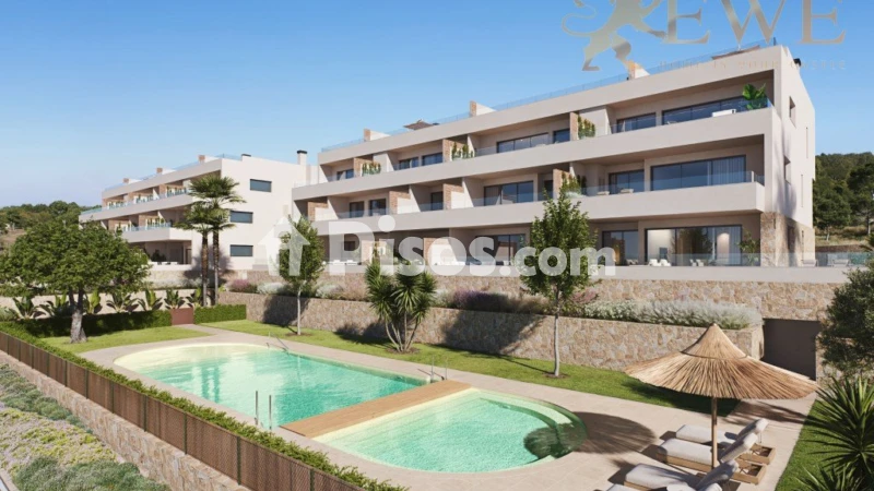Pis – Orihuela