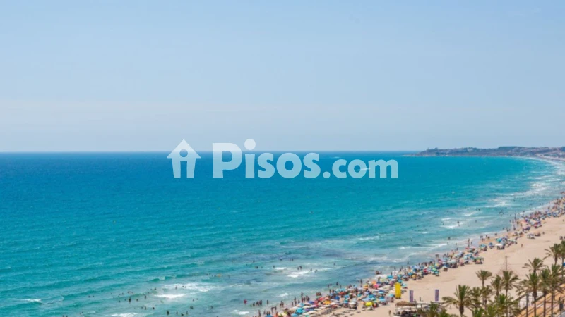 Piso – el Campello, Pla d’en Sarrió, Urbanització L'Almadrava