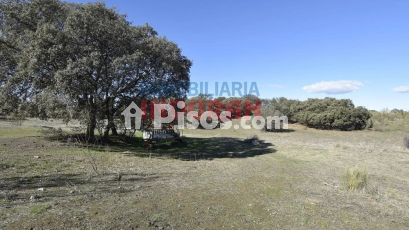 Finca rústica en venta en Villar del Pedroso - Vista 3