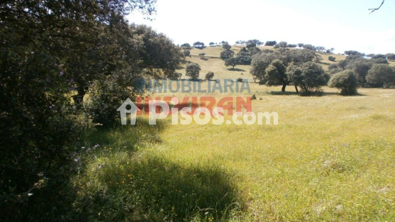 Finca rústica en venta en Millanes - Vista 3