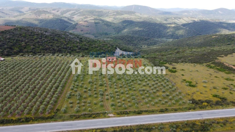 Finca rústica en venta en Castañar de Ibor - Vista 3
