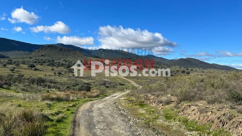Finca rústica en venta en Carrascalejo - Vista 3