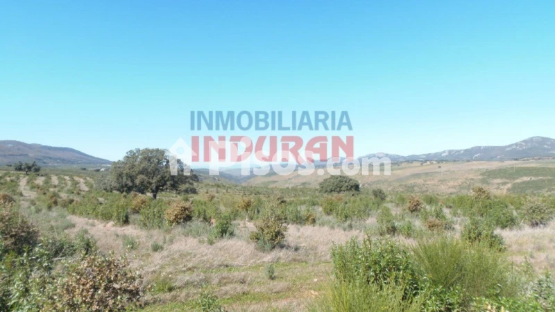 Finca rústica en venta en Fresnedoso de Ibor - Vista 3