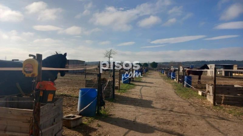 Finca rústica en venta en Fuente El Saz de Jarama, Fuente el Saz de Jarama de 350.000 €