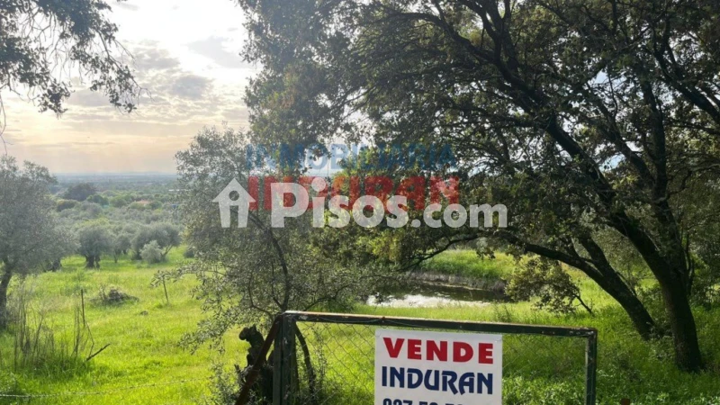 Finca rústica en venta en Millanes - Vista 3