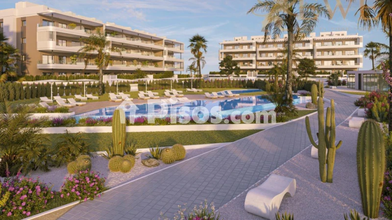 Pis – Torrevieja