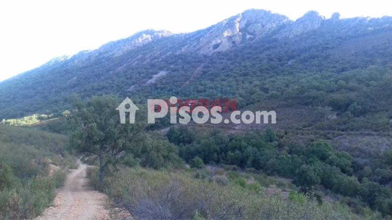 Finca rústica en venta en Castañar de Ibor - Vista 3
