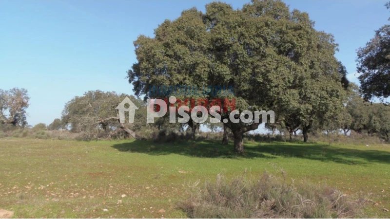 Finca rústica en venta en Valdehúncar - Vista 3