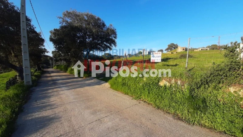 Finca rústica en venta en Millanes - Vista 3