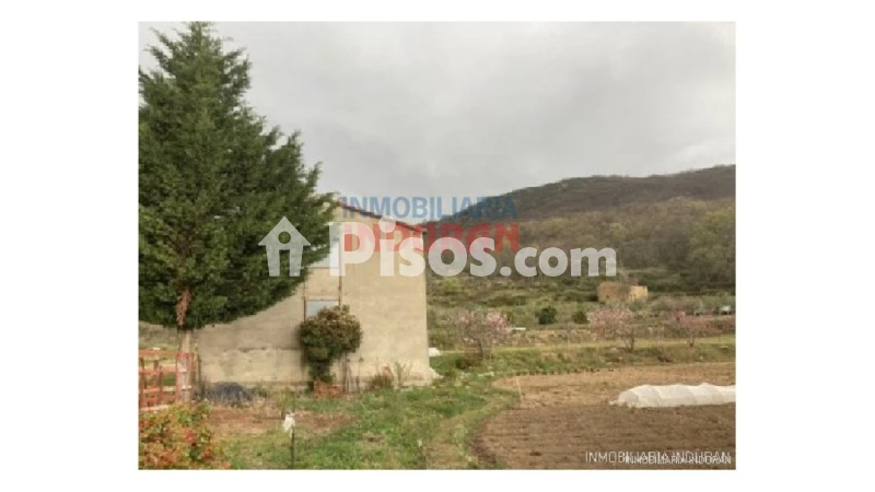 Finca rústica en venta en Jarandilla de La Vera - Vista 3