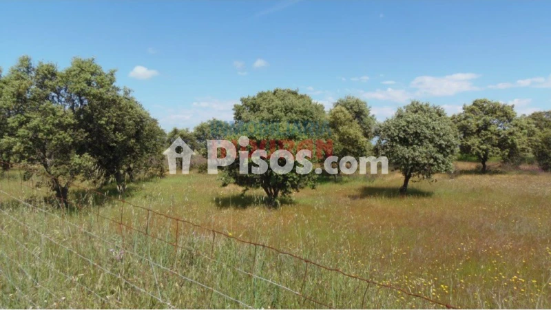 Finca rústica en venta en Peraleda de La Mata - Vista 3