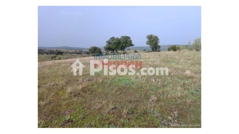 Finca rústica en venta en Villar del Pedroso - Vista 3