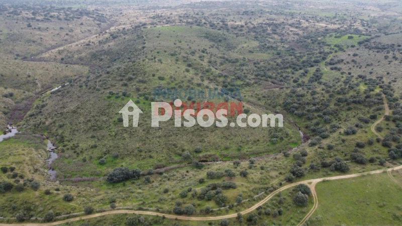 Finca rústica en venta en Villar del Pedroso - Vista 3