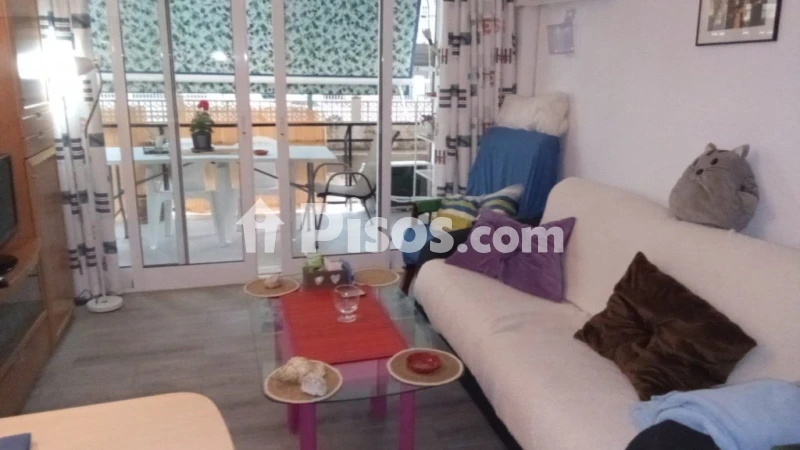 Fotografía del inmueble reportado: 1.000 €/mes — Murcia, Murcia
