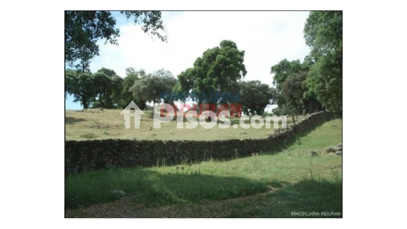 Finca rústica en venta en Río Tinto-Aldea Moret-La Cañada - Vista 3