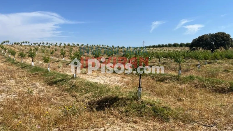 Finca rústica en venta en Galisteo - Vista 3