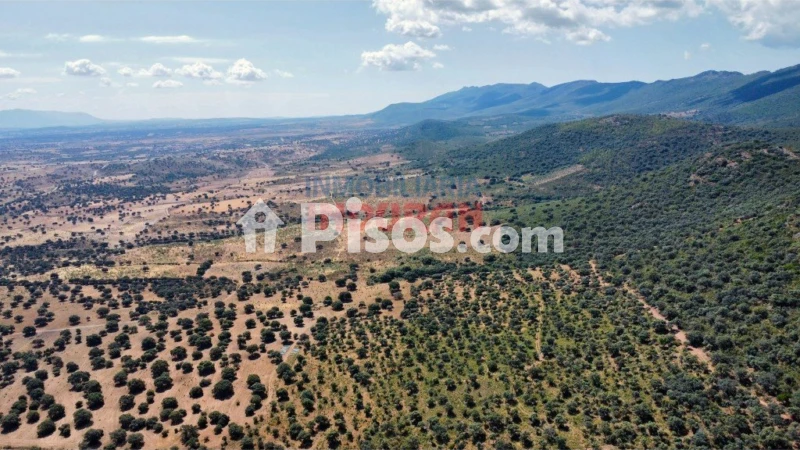 Finca rústica en venta en Villar del Pedroso - Vista 3